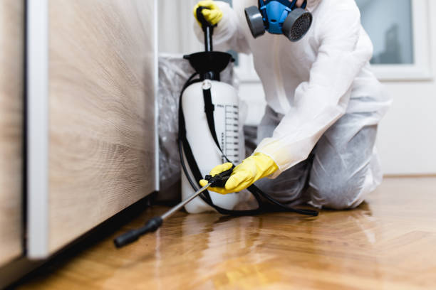 Professional Pest Control in Winthrop, IA